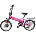 Two Wheel City Ebike Electric Bike for Adult